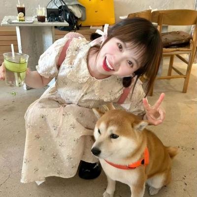狐仙短剧